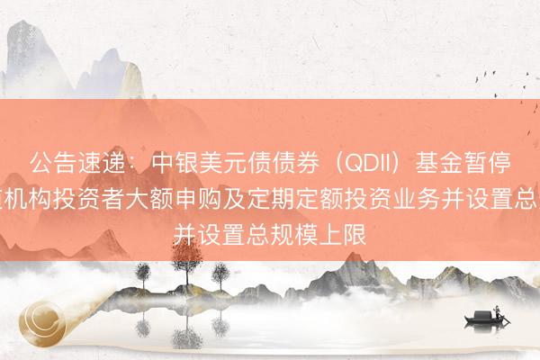 公告速递：中银美元债债券（QDII）基金暂停直销渠道机构投资者大额申购及定期定额投资业务并设置总规模上限