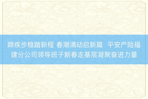 蹄疾步稳踏新程 春潮涌动启新篇  平安产险福建分公司领导班子新春走基层凝聚奋进力量