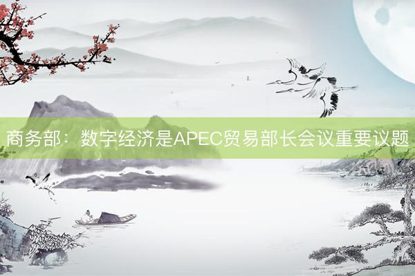 商务部：数字经济是APEC贸易部长会议重要议题