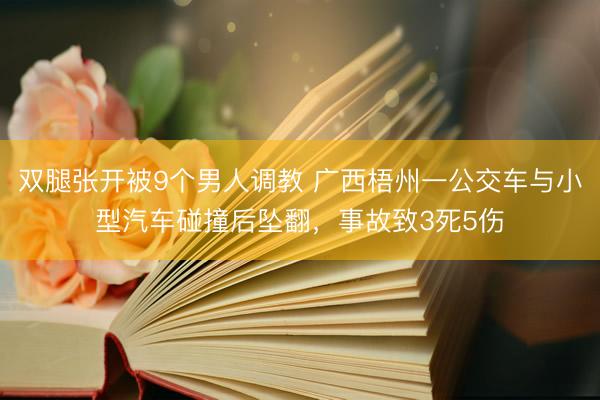 双腿张开被9个男人调教 广西梧州一公交车与小型汽车碰撞后坠翻，<a href=