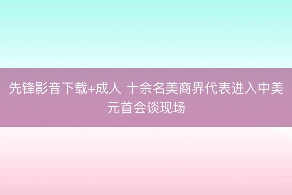 先锋影音下载+成人 十余名美商界代表进入中美元首会谈现场