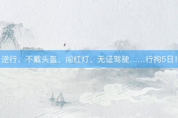逆行、不戴头盔、闯红灯、无证驾驶……行拘5日！