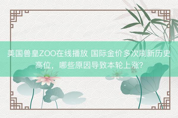 美国兽皇ZOO在线播放 国际金价多次刷新历史高位,哪些原因导致本轮上涨?