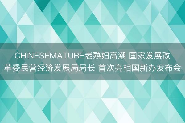 CHINESEMATURE老熟妇高潮 国家发展改革委民营经济发展局局长 首次亮相国新办发布会
