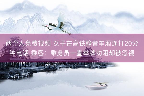 两个人免费视频 女子在高铁静音车厢连打20分钟电话 乘客：乘务员一直举牌劝阻却被忽视
