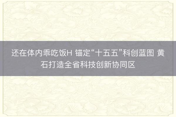 还在体内乖吃饭H 锚定“十五五”科创蓝图 黄石打造全省科技创新协同区