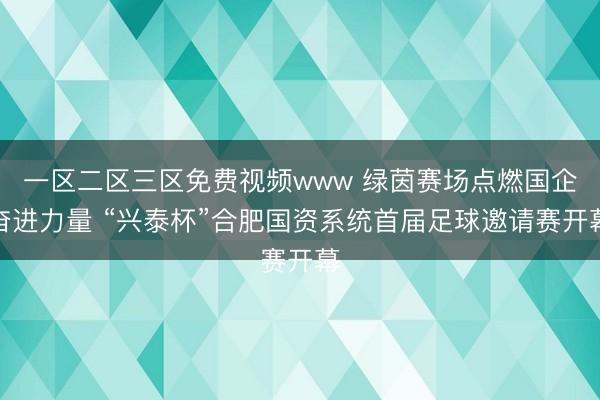 一区二区三区免费视频www 绿茵赛场点燃国企奋进力量 “兴泰杯”合肥国资系统首届足球邀请赛开幕