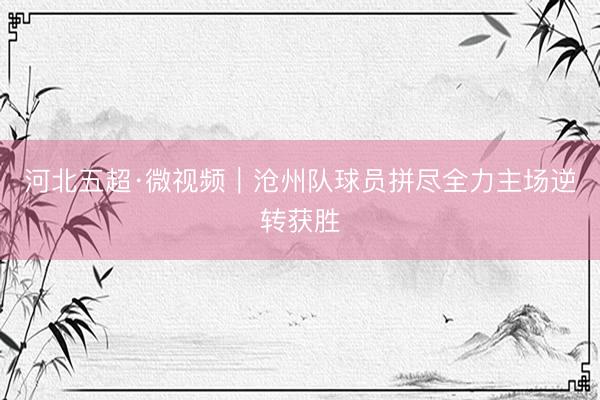 河北五超·微视频｜沧州队球员拼尽全力主场逆转获胜