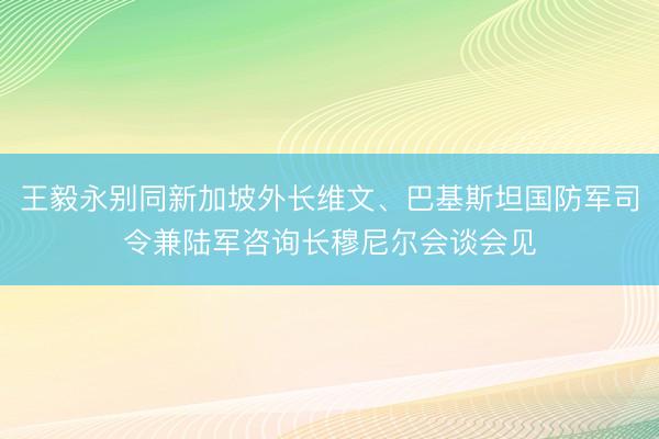 王毅永别同新加坡外长维文、巴基斯坦国防军司令兼陆军咨询长穆尼尔会谈会见