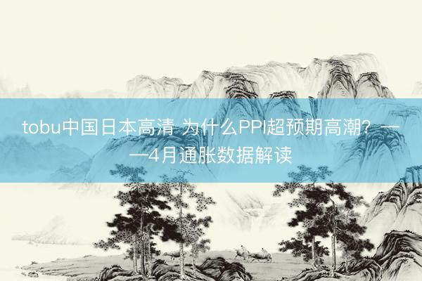 tobu中国日本高清 为什么PPI超预期高潮？——4月通胀数据解读