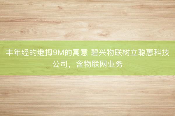 丰年经的继拇9M的寓意 碧兴物联树立聪惠科技公司,含物联网业务