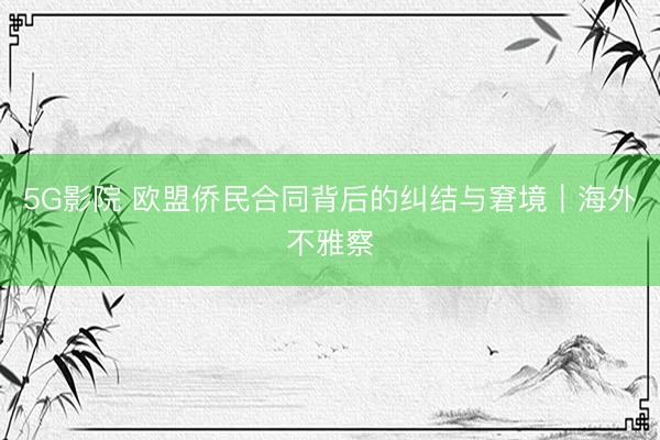 5G影院 欧盟侨民合同背后的纠结与窘境|海外不雅察
