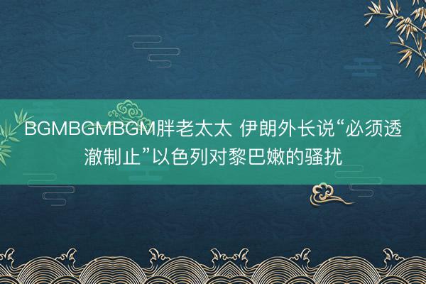 BGMBGMBGM胖老太太 伊朗外长说“必须透澈制止”以色列对黎巴嫩的骚扰