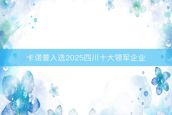 卡诺普入选2025四川十大领军企业