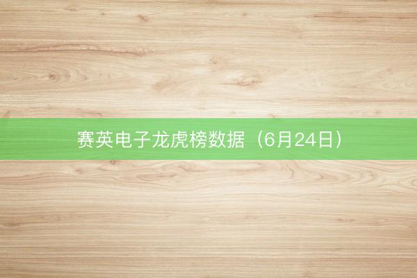 赛英电子龙虎榜数据（6月24日）
